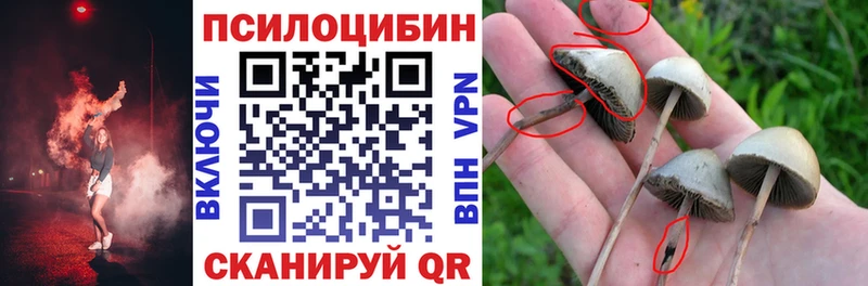 Псилоцибиновые грибы MAGIC MUSHROOMS  mega маркетплейс  Каспийск  где купить наркотик 