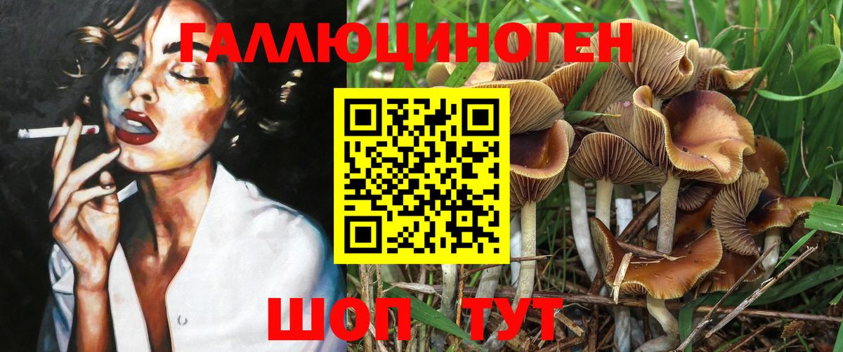 Галлюциногенные грибы прущие грибы Каспийск